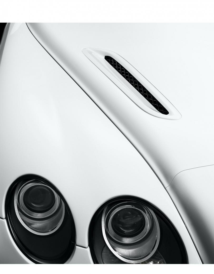 Детали экстерьера Bentley Continental SuperSports 2010 года  (фото 5 из 24)